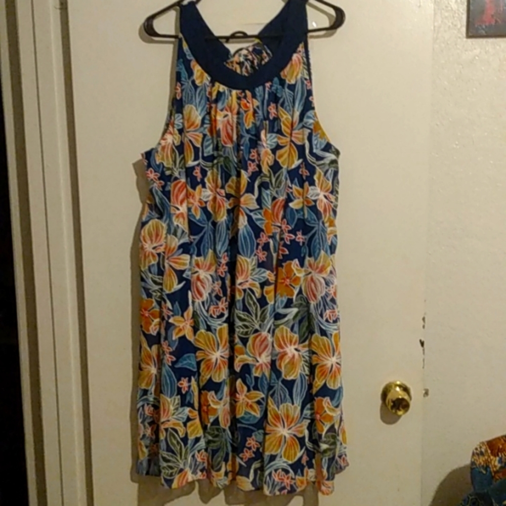 "Signature", by Robbie Bee, ladies stunning sleeveless dress. Size 24W.